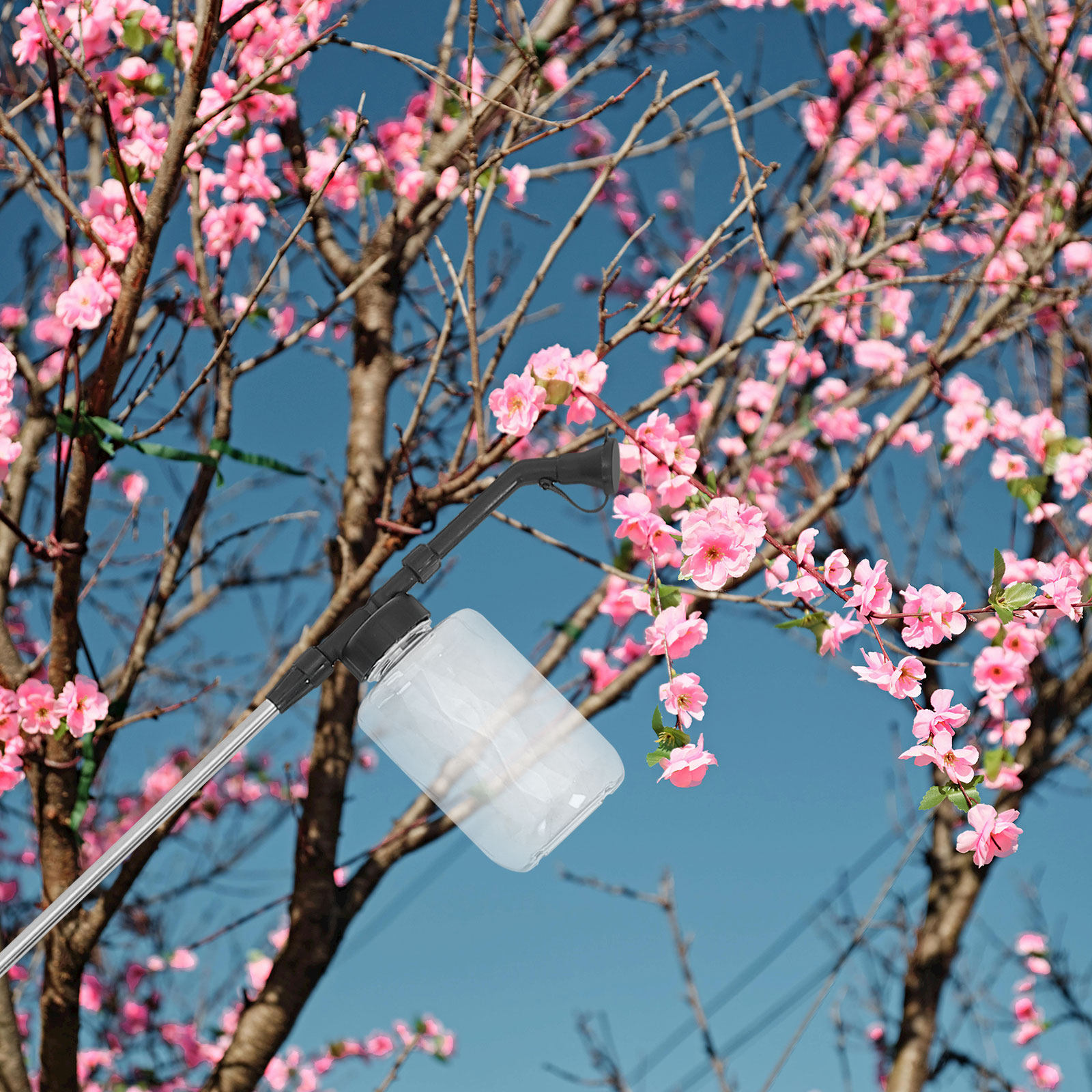 Manual Pollination Stick Handh - Flower Supplies ulasan dan harga